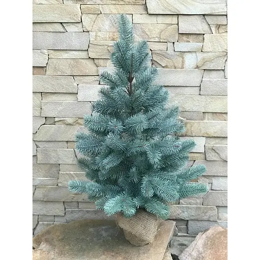 Ялинка Hvoya Premium лита в мішковині 70 см блакитна - фото 4
