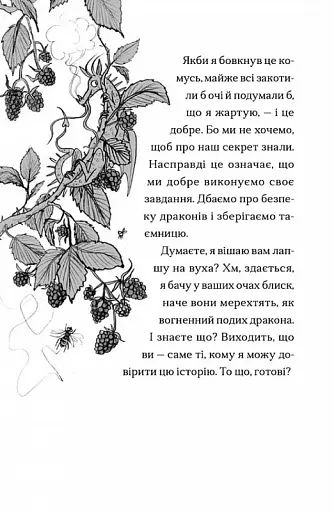 Хлопчик, який марив драконами - фото 6