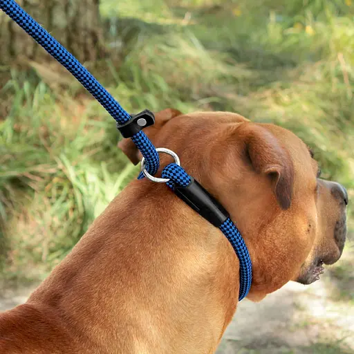 Поводок-удавка для собак Barksi Active (длина 183 см диаметр 12 мм) шахматы черно-голубой - фото 3