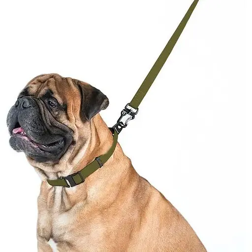 Повідець Evolutor хакі - фото 4