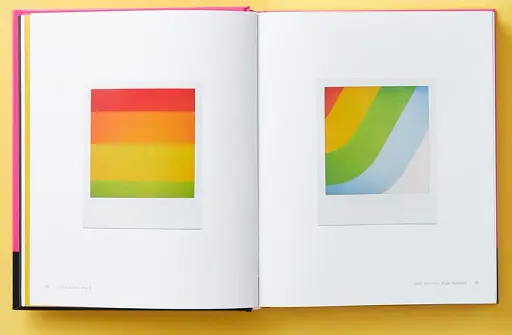 Polaroid Now. The History and Future of Polaroid Photography - фото 4