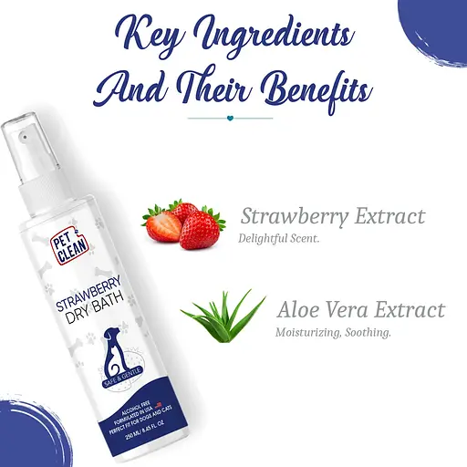 Сухой шампунь Pet Clean Dry Bath Strawberry для домашних животных с ароматом клубники 250 мл - фото 3