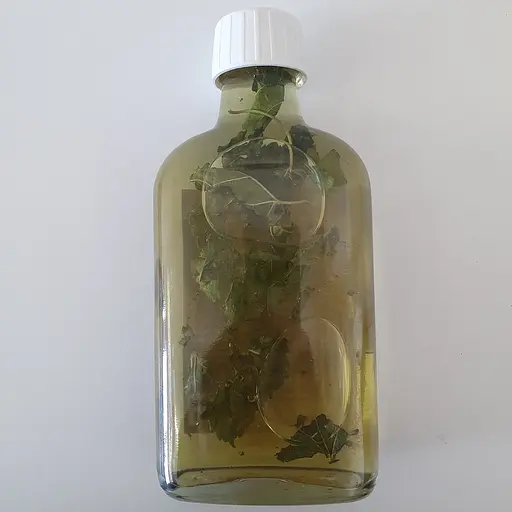 Настоянка на листі білої шовковиці 200 мл - фото 2