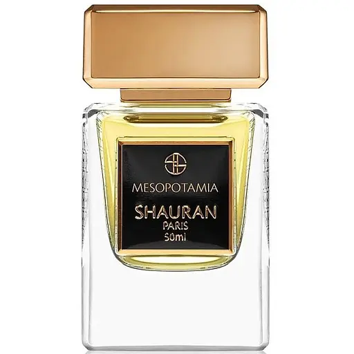 Парфумована вода оригінал тестер Shauran Mesopotamia 50 мл - фото 1
