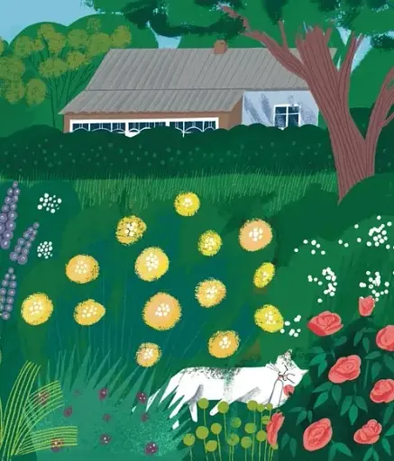 Таємне життя Карамельки - Драчковська Оксана - фото 5