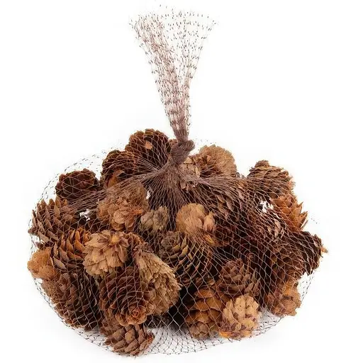 Набір декоративних шишок Lefard 100 г (801-579) - фото 2