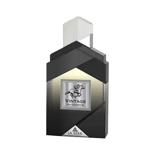 Парфюмированная вода мужская La Sera Vintage 100 мл (MM35035)