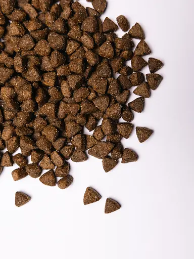 Сухий корм Savory для стерилізованих собак усіх порід, зі свіжою індичкою, 12 кг - фото 5