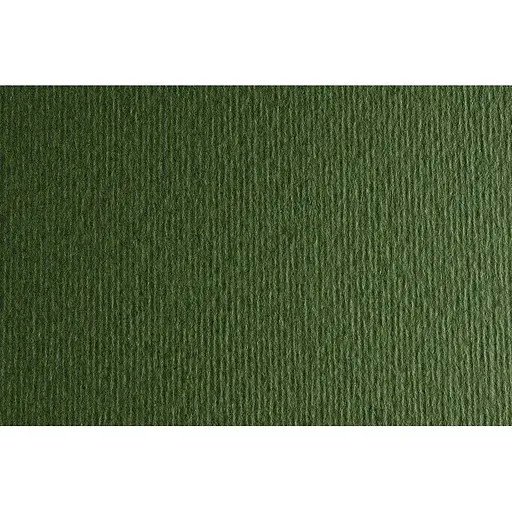 Папір для дизайну Fabriano Elle Erre B1 (70x100см) №28 verdone 220г/м2 темно-зелений