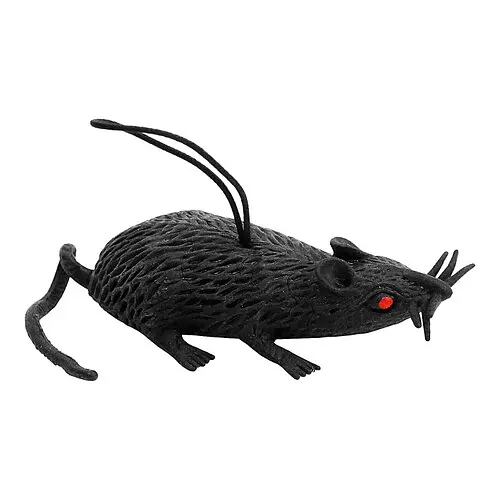 Прикол Мышка - фото 1