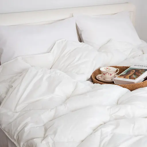 Одеяло ТЕП Friendly Лебединый пух 400 г/м 200x210 см белый (1-02599_00000) - фото 5