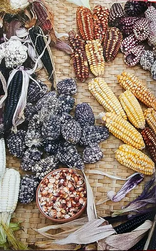 The Latin American Cookbook - фото 4