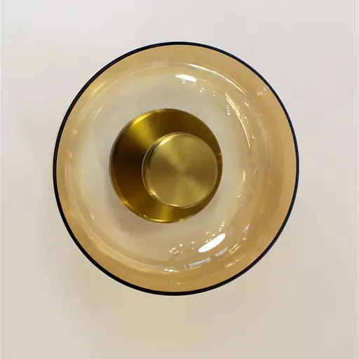 Бра Friendlylight Jellyfish WL Amber FL4116 - фото 2