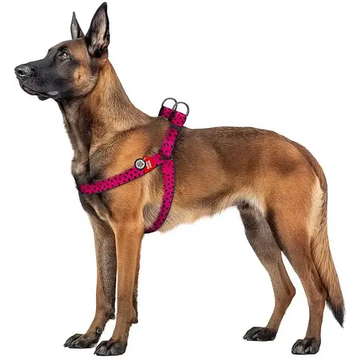 Шлейка для собак Waudog Nylon с QR паспортом, рисунок "Арбуз", пластиковый фастекс, XL - фото 3