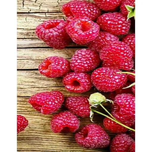 Алмазная мозаика Strateg ПРЕМИУМ Сочная малина без подрамника размером 40х50 см (JSFH85871) - фото 1