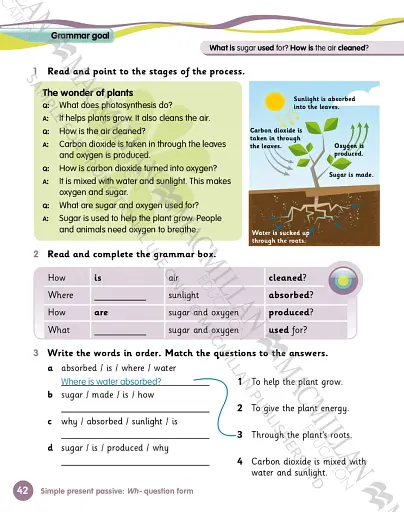 Grammar Goals. Level 5. Student's Book & CD Rom. American Edition - фото 6