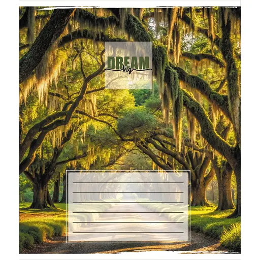 Зошит загальний "Пейзажі" Leader 060-482701L-2 в лінію, 60 аркушів - фото 1