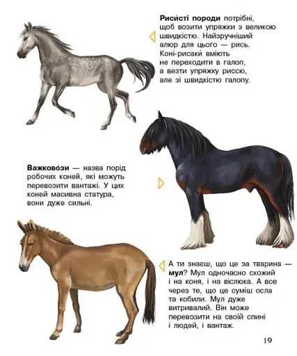 Енциклопедія дошкільника: Коні - фото 3