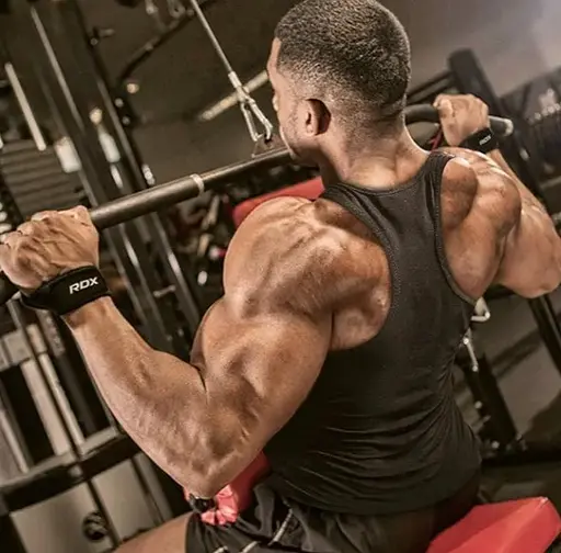 Лямки для тяги RDX W1 Gym Single Strap Red Plus (WAN-W1R+) - фото 7