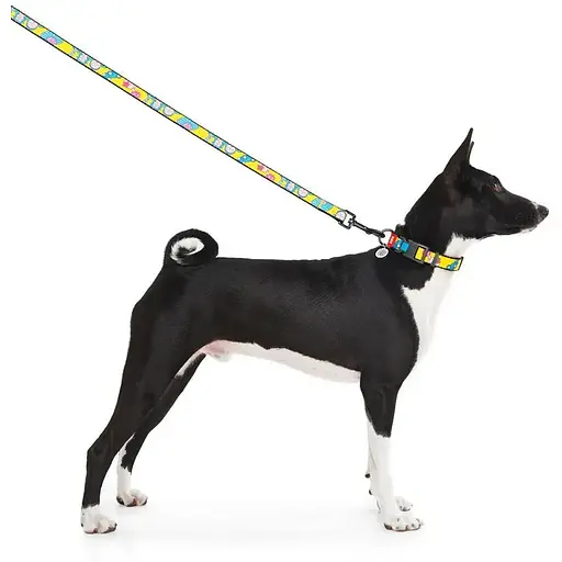 Поводок для собак Waudog Nylon нейлоновый, рисунок "Год и Морти 1", L-XXL - фото 6