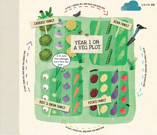 Grow. A Family Guide to Growing Fruit and Veg - фото 8