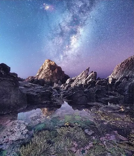 The Ocean Book: The Stories, Science, and History of Oceans - фото 5