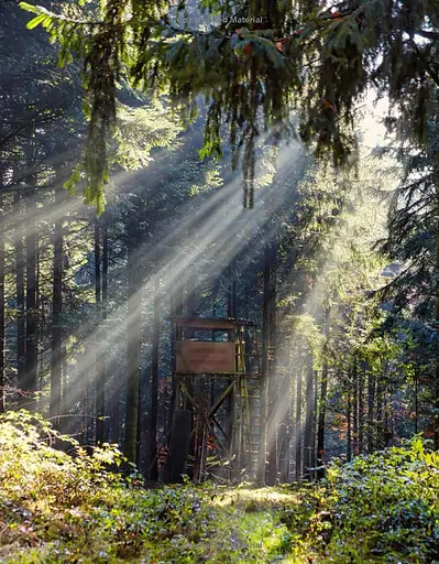 Hunting: The Ultimate Book - фото 10