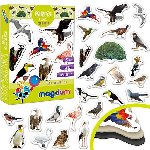 Детский набор магнитов Птицы фото Magdum ML4031-30 EN - фото 3