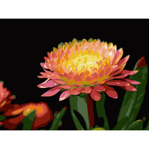 Картина по номерам Strateg Цветок герберы на черном фоне 30х40 см (FH-28) - фото 1