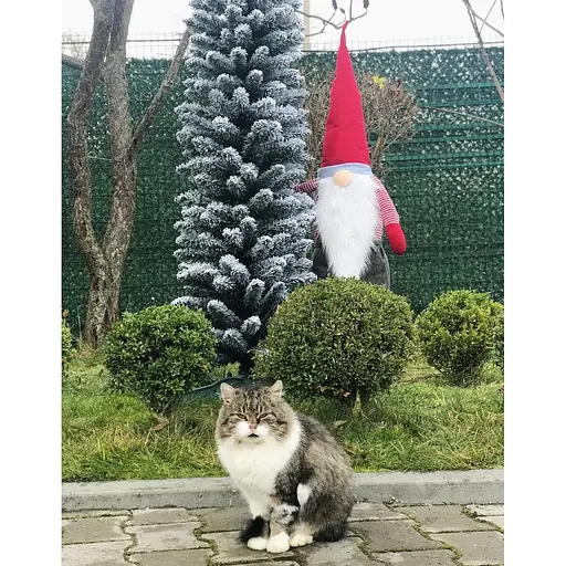 Ялинка Hvoya Альпійська вузька 180 см засніжена - фото 5