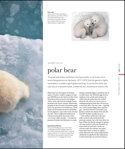 The Science of Animals - фото 18