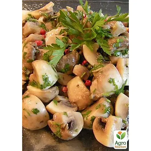 Міцелій на дубових брусочках "Опеньок товстоногий" 10шт (45267) - фото 2