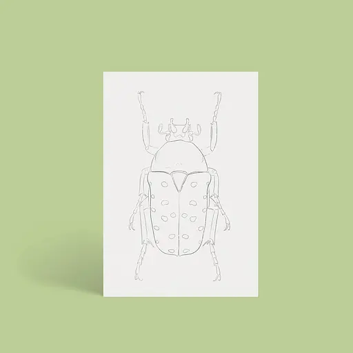 Открытки для раскраски Насекомые - Ольга Марс - фото 5