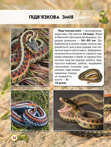 Світ навколо нас. Змії - фото 4