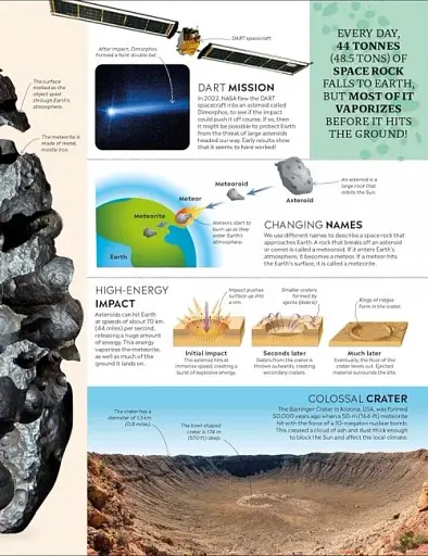 Eyewitness Encyclopedia of Everything - фото 5