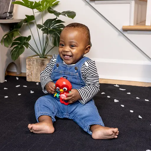 Іграшка-брязкальце Bright Starts Roxy's Bright Flight музична (16888) - фото 7