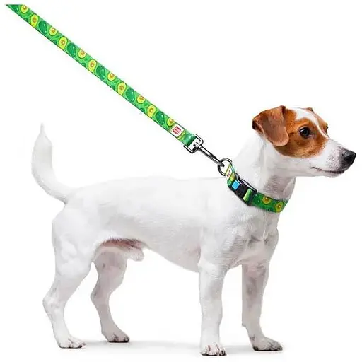 Повідець для собак Waudog Nylon нейлоновий, малюнок "Авокадо" - фото 3