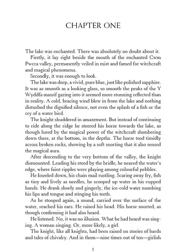 The Lady of the Lake. The Witcher Book 5 - фото 2