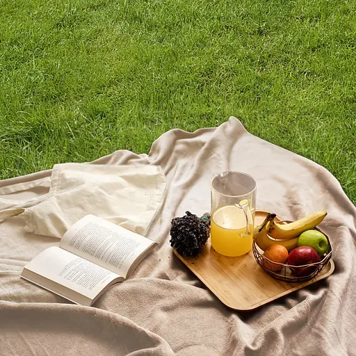 Плед флісовий Sonex Derby 160х200 см бежевий (SO102542) - фото 4