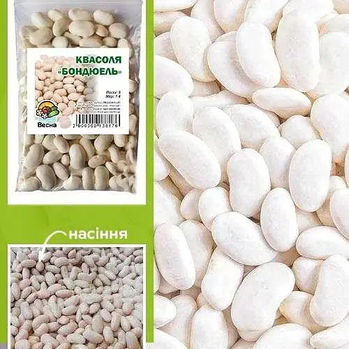 Квасоля "Бондюель" ТМ "Весна" 100г (24116) - фото 1