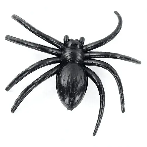 Паук Домовой - фото 1