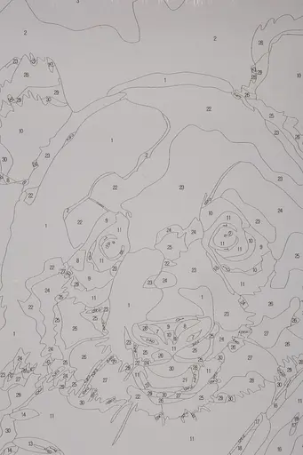 Набор для росписи "Панда в бамбуковом лесу" 40*50 см, IDEA2-GX47458, ТМ "99IDEAS" - фото 7