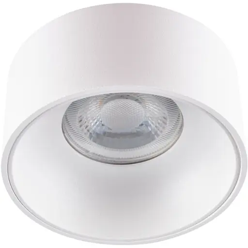 Потолочный точечный светильник Kanlux Mini Riti GU10 W/W (27579)