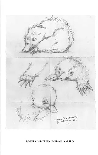 Фантастичні звірі: Таємниці Дамблдора. Оригінальний сценарій - фото 5