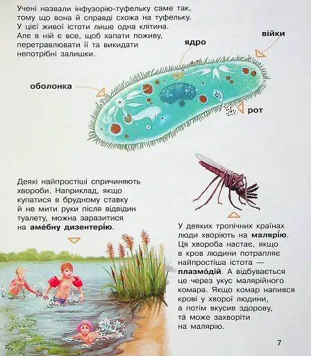 Енциклопедія дошкільника. Мікроби - фото 10