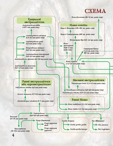 Від мавпи до людини - фото 3
