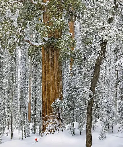 Natural Wonders of the World - фото 5