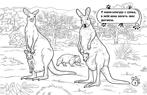 Розмальовка з тваринами. Тварини в далеких краях - фото 3