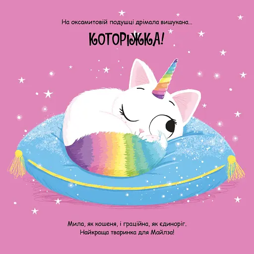 Которіжка - фото 5