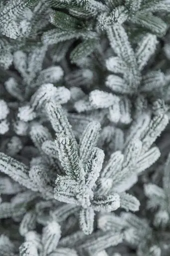 Гирлянда из хвои Венская Заснеженная 2.5 м литая - фото 2